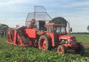 43851575 10213460552611282 n 43851575 10213460552611282 n