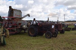 bild skoerde fest kopia bild skoerde fest kopia