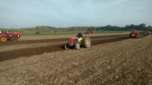 img 20181013 kopia img 20181013 kopia