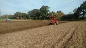 img0181013 115606971 kopia img0181013 115606971 kopia