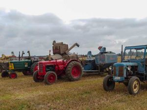 Kassagården sködedag  26/7