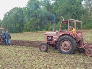 Veteranplöjning i höjaholm Örkelljunga. 5/10